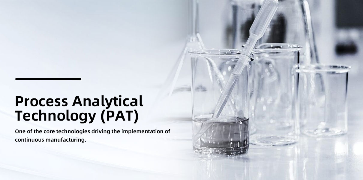 Process Analytical Technology (PAT)